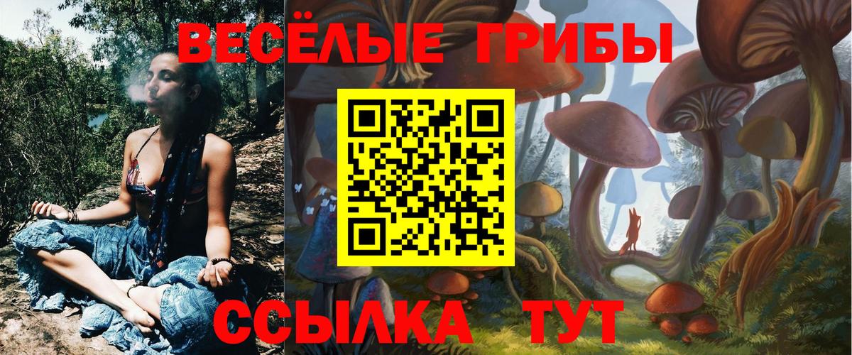 Ахтубинск  Псилоцибиновые грибы прущие грибы  Галлюциногенные грибы Magic Shrooms  Вход с VPN 